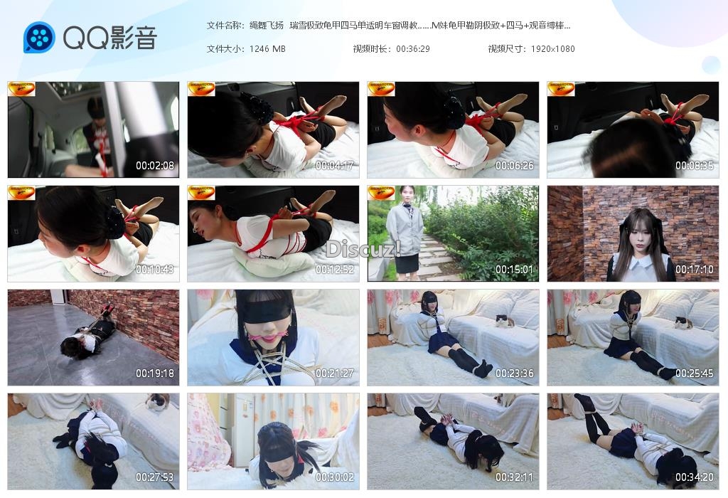 绳舞飞扬  瑞雪极致龟甲四马单透明车窗调[20260502-020403].jpg